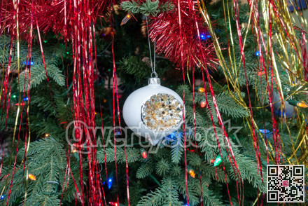 White bauble with golden stars among chistmas tree brenches