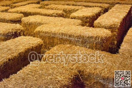 Maze built with golden straw stack tightened with straps