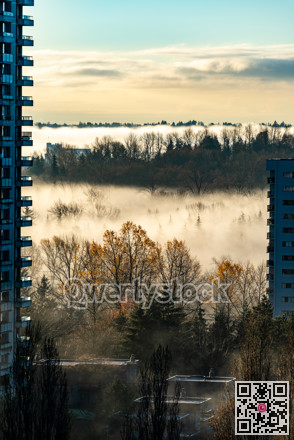Foggy autumn morning in a town. Cityscape with residential buildings