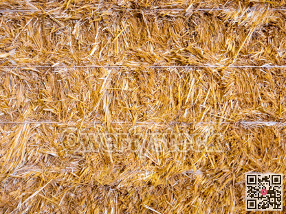 Golden straw stack tightened with straps. Background texture