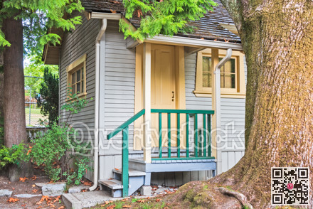 Doorsteps and porch of small residential house under the tree.