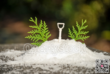 Decorative snow with toy shovel and green leaves for Christmass tree immitation