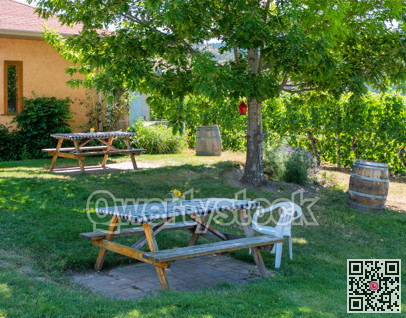 Rural summer cafe in the shadow of oak tree