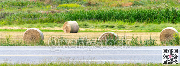 Dry yellow straw bales laying on the farm field at the road