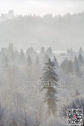 Winter time landscape. Fraser river view in British Columbia, Canada