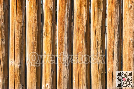 Texture of wood logs. Wooden background for copy space.