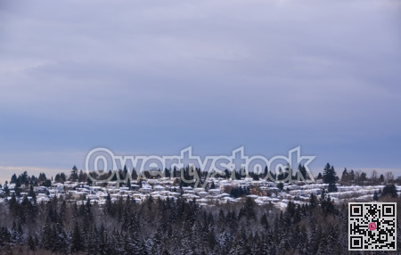 Residential houses in the snow on winter season in Canada