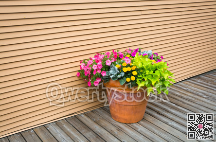 Decorative flowers on wooden pavement of the street