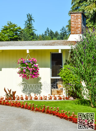 Front yard lawn decorated with flowers on a bright sunny day
