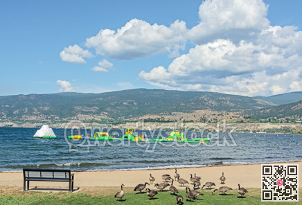 Sand beach and water soaking attraction on Okanagan lake