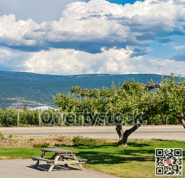 Recreation area at the apple tree with beautiful view of mountains