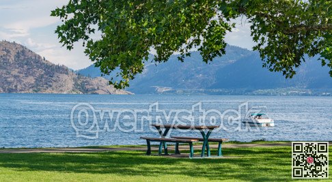 Recreational area under the crown of big chestnut tree with the lake overview