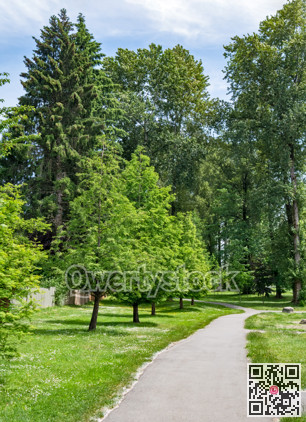 Paved pathway in a park through residential area in Vancouver, Canada