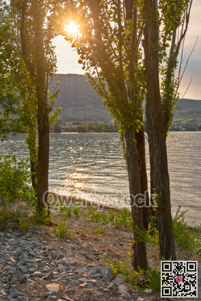 Golden sunset on Osoyoos lake from Haynes point in Swiws park