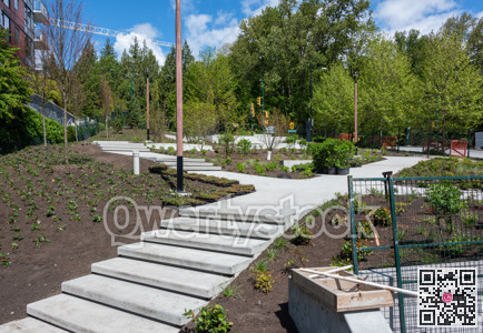 Brand new concrete pathway with stairs in residential area