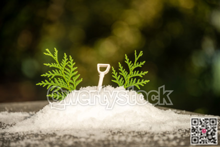 Decorative snow with toy shovel and green leaves for Christmass tree immitation