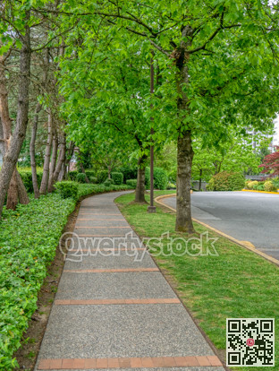Paved pathway in a park through residential area in Vancouver, Canada
