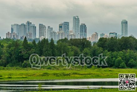 View of a city in the park on overcasted sky background