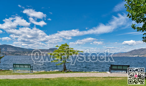 Scenery Okanagan lake overview with the bench and tree at the waterfront