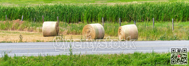 Dry yellow straw bales laying on the farm field at the road