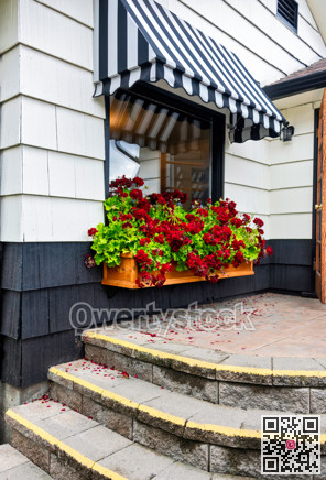 Window flowers under black and white stripy canopy