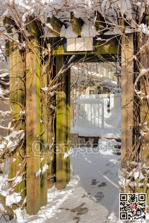 Wooden gate in snow. Winter in residential area on sunny day