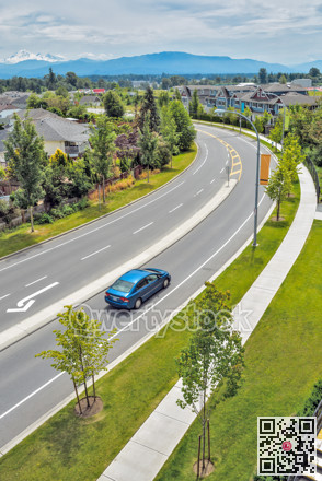 A car on the road leading through residential area