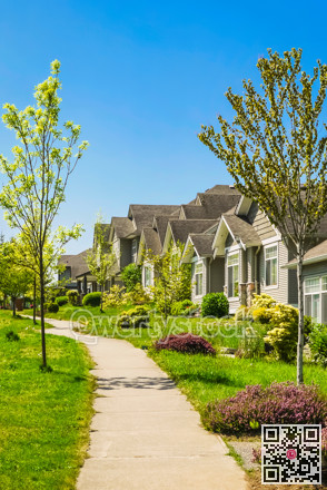 Concrete pathway along the row of residential houses on a sunny day
