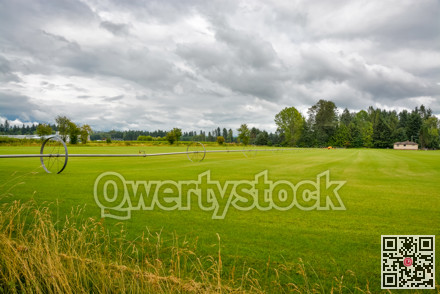 Green grass farm field with irrigation system on wheels