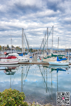 Sailing boats yachts at mooring line on Pacific ocean