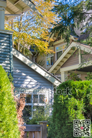 Windows and roofs of residentilal buildings among the tree branches