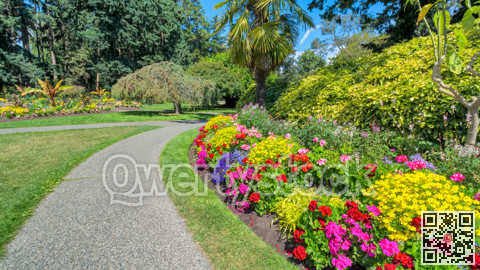 Green wide open meadow in a park with paved pathway