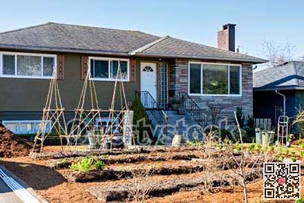 Green sprouts on garden patches in front of residential house