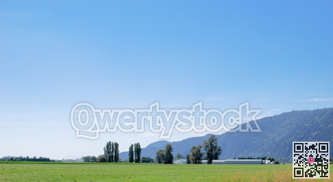Farm fields in Fraser valley on bright summer day